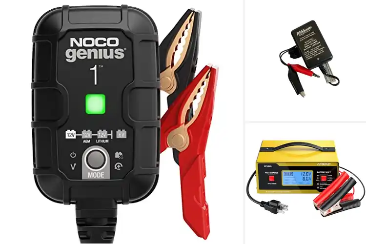 Detailed view of Best 6 Volt Battery Chargers
