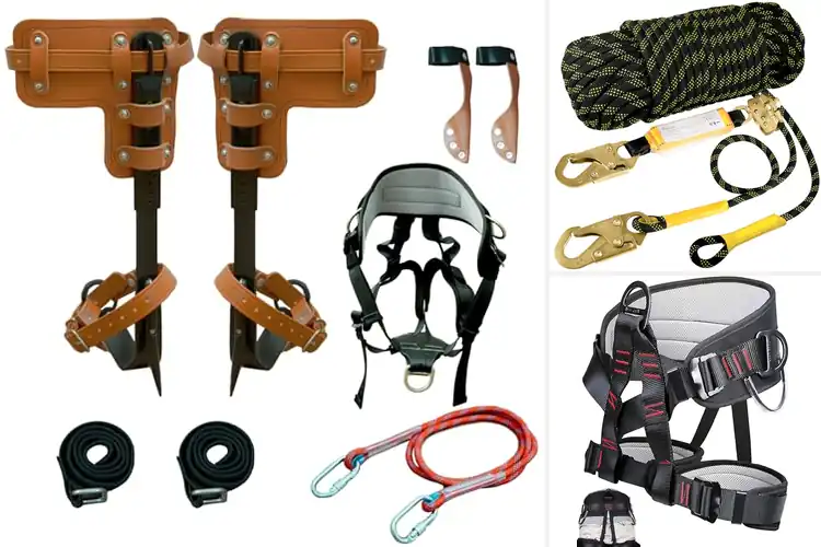 Detailed view of Best Climbing Safety Gears