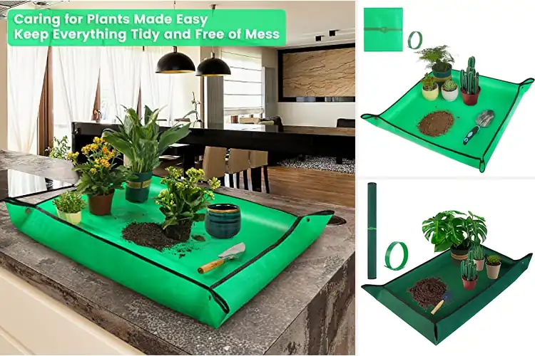 Detailed view of Best Repotting Mats: Top 10 Picks for Mess-Free Gardening