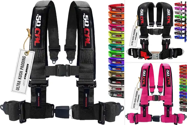 Detailed view of Best Safety Harnesses for RZR