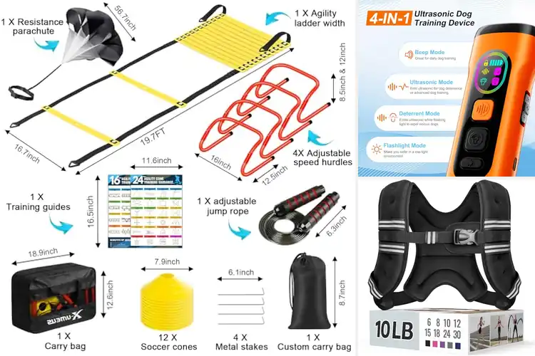 Detailed view of Best Training Tools to Boost Performance & Skill